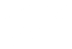 KCL油泵结构图